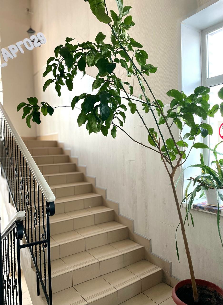 Гостиница Арго Архангельск-27