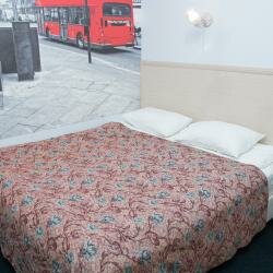 Гостиница Арго Архангельск-145