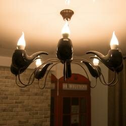 Гостиница Арго Архангельск-141